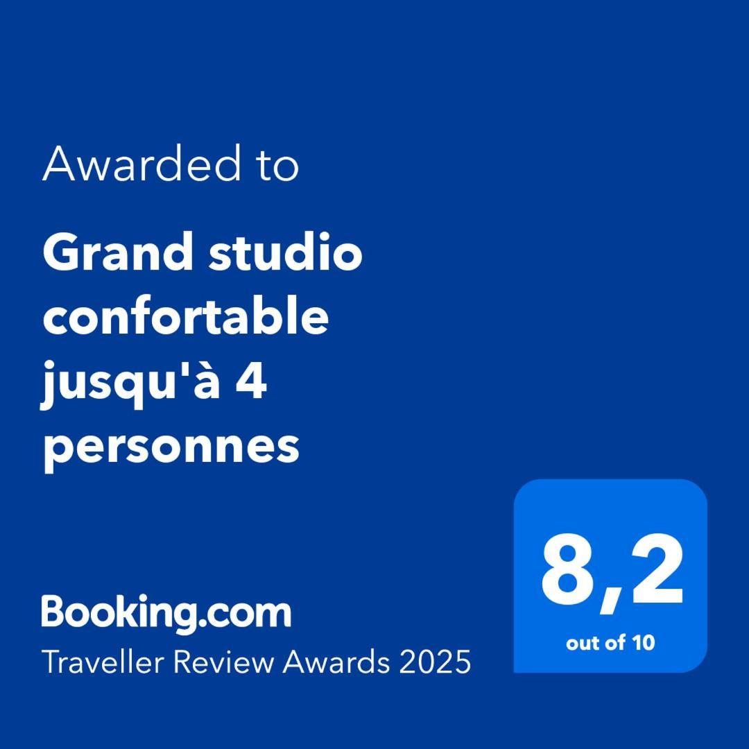 Grand Studio Confortable Jusqu'A 4 Personnes ディーニュ・レ・バン エクステリア 写真